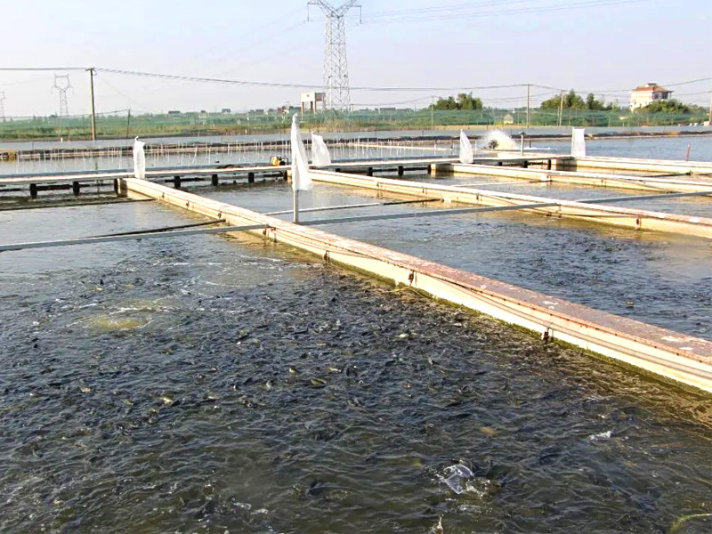 "Selective Strengthening and Two Water Synergy" Aquaculture Tail Water System Treatment Technology